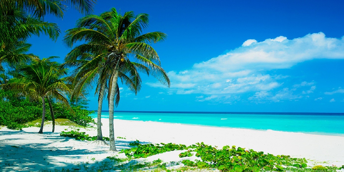 cuba 6 web